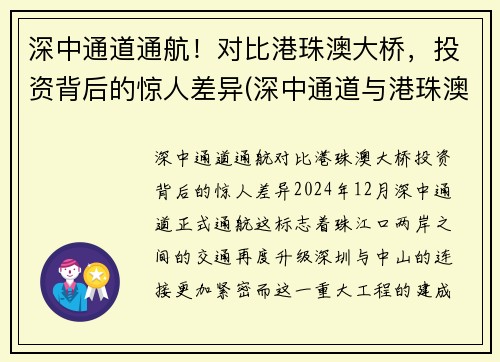 深中通道通航！对比港珠澳大桥，投资背后的惊人差异(深中通道与港珠澳大桥意义大比拼)