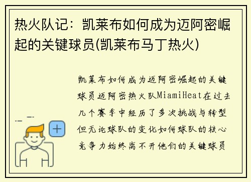 热火队记：凯莱布如何成为迈阿密崛起的关键球员(凯莱布马丁热火)
