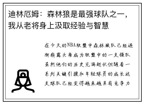 迪林厄姆：森林狼是最强球队之一，我从老将身上汲取经验与智慧